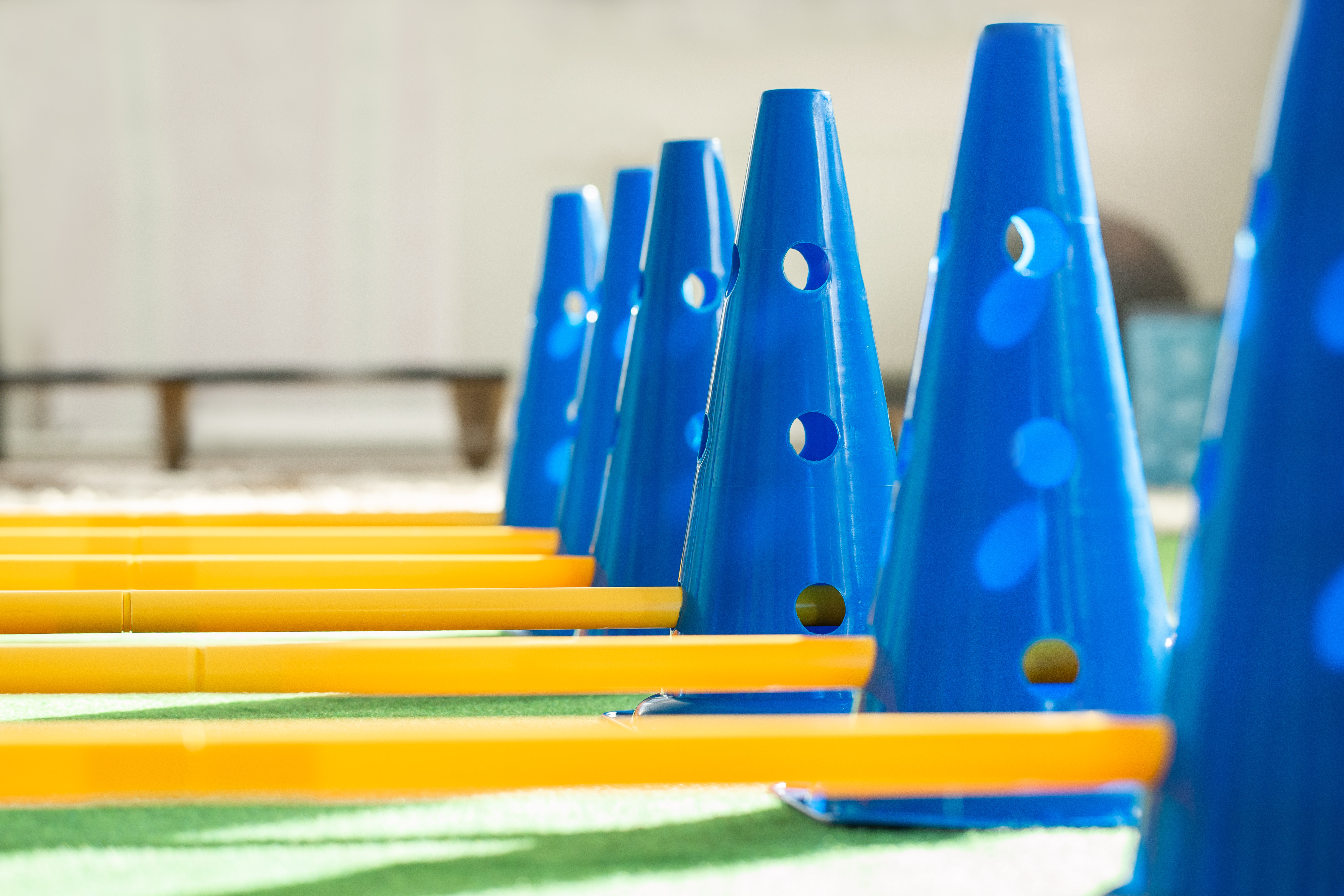 Blaue Kegel und gelbe Stangen als Trainingsgeräte